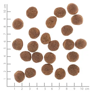 Vetline Gastro-intestinal Hondenvoer Met Eend 2kg by Wolfsblut – product photo 3 of 3