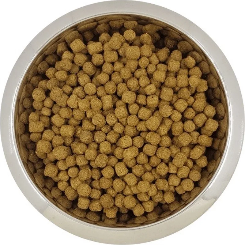 Dwerg- of Toypoedel - Hondenbrokken - Volwassen - 12 kg by Yourdog – product photo