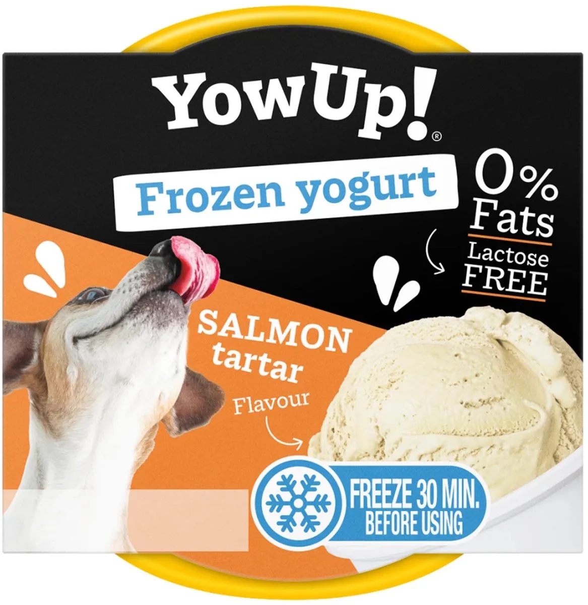 Yaourt glacé au tartare de saumon pour chiens 110 GR de Yowup! – photo produit