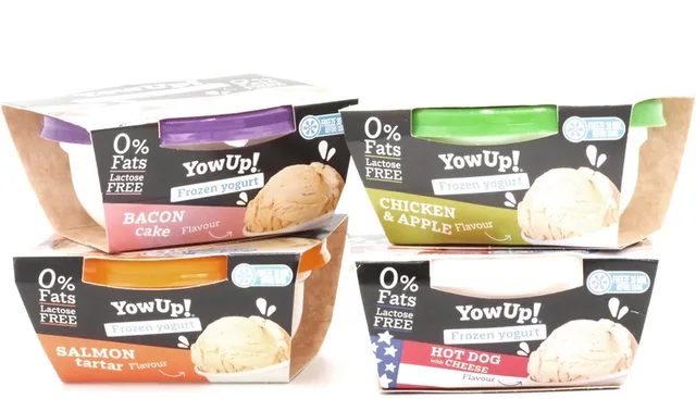 Hondenijs - Kattensnack - Lactosevrij - Voordeel - 4 Smaken - Frozen Yoghurt