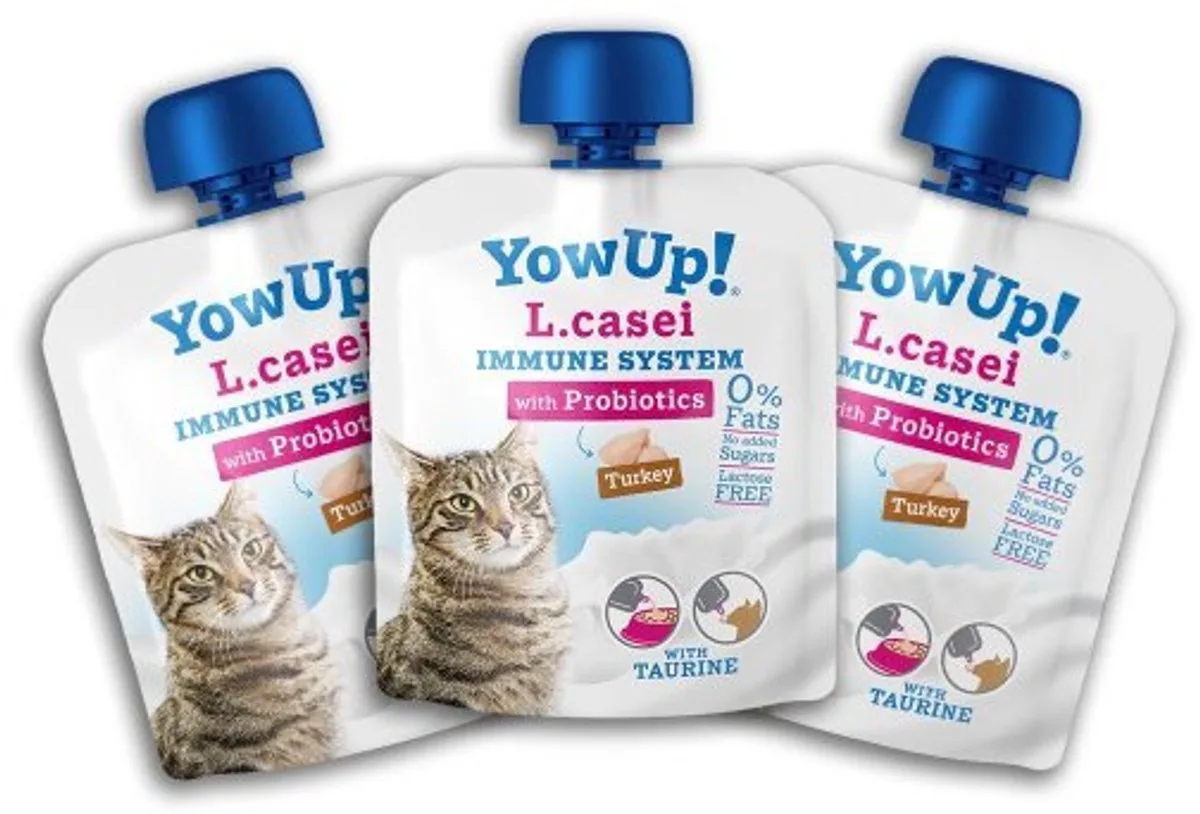 Yaourt L.Casei Protiotics saveur dinde pour chat 85 gr de Yowup! – photo produit