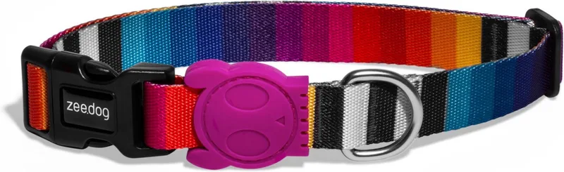 Halsband Prisma Multi-Color - Hondenhalsband - 45-70x2.5 cm by Zee.Dog in Multicolour – product photo