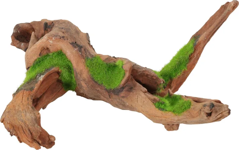 Groeiend Decor Malaysia Root M - Aquarium - Ornament - 29.9x15.4x13.4 cm by Zolux in Green – product photo