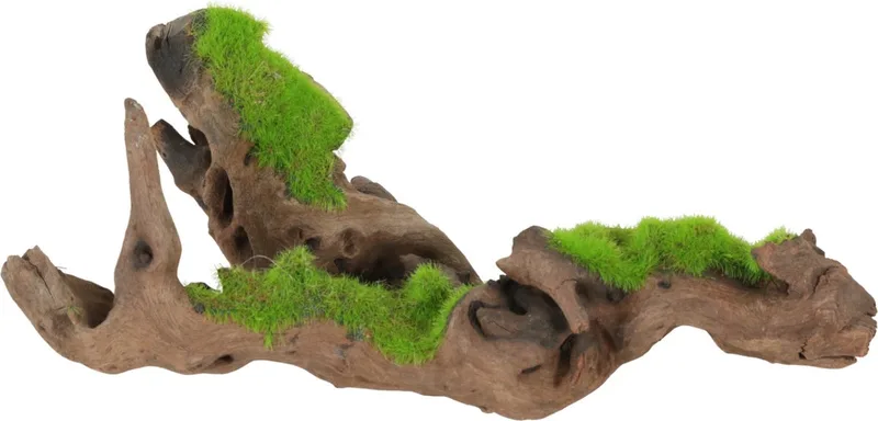Groeiend Decor Malaysia Root S - Aquarium - Ornament - 11x11x17.5 cm by Zolux in Brown – product photo