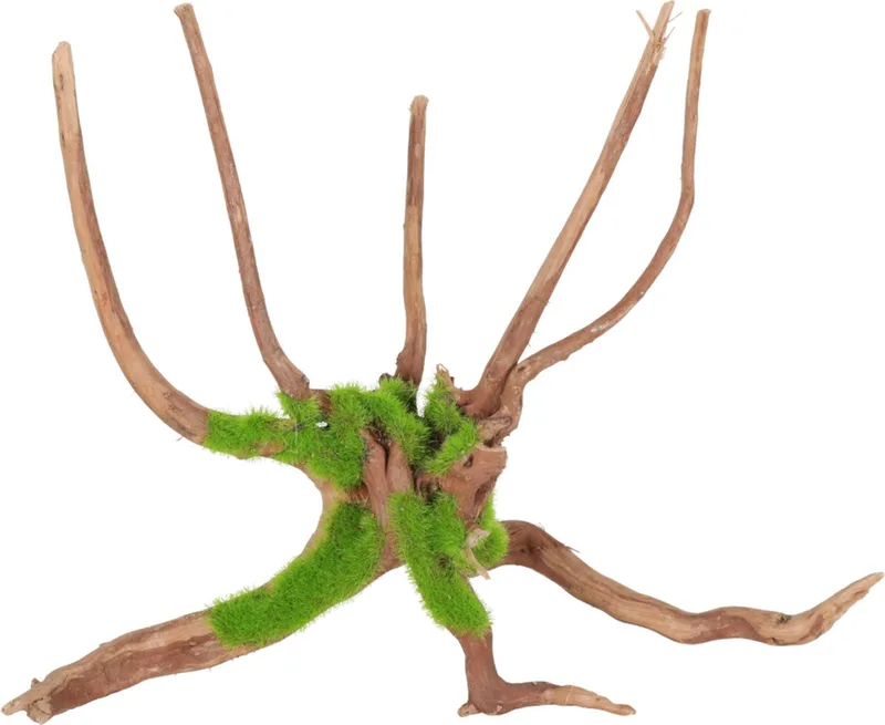 Groeiend Decor Spider Root M - Aquarium - Ornament - 27.5x23.9x17.5 cm de Zolux en Marron – photo produit