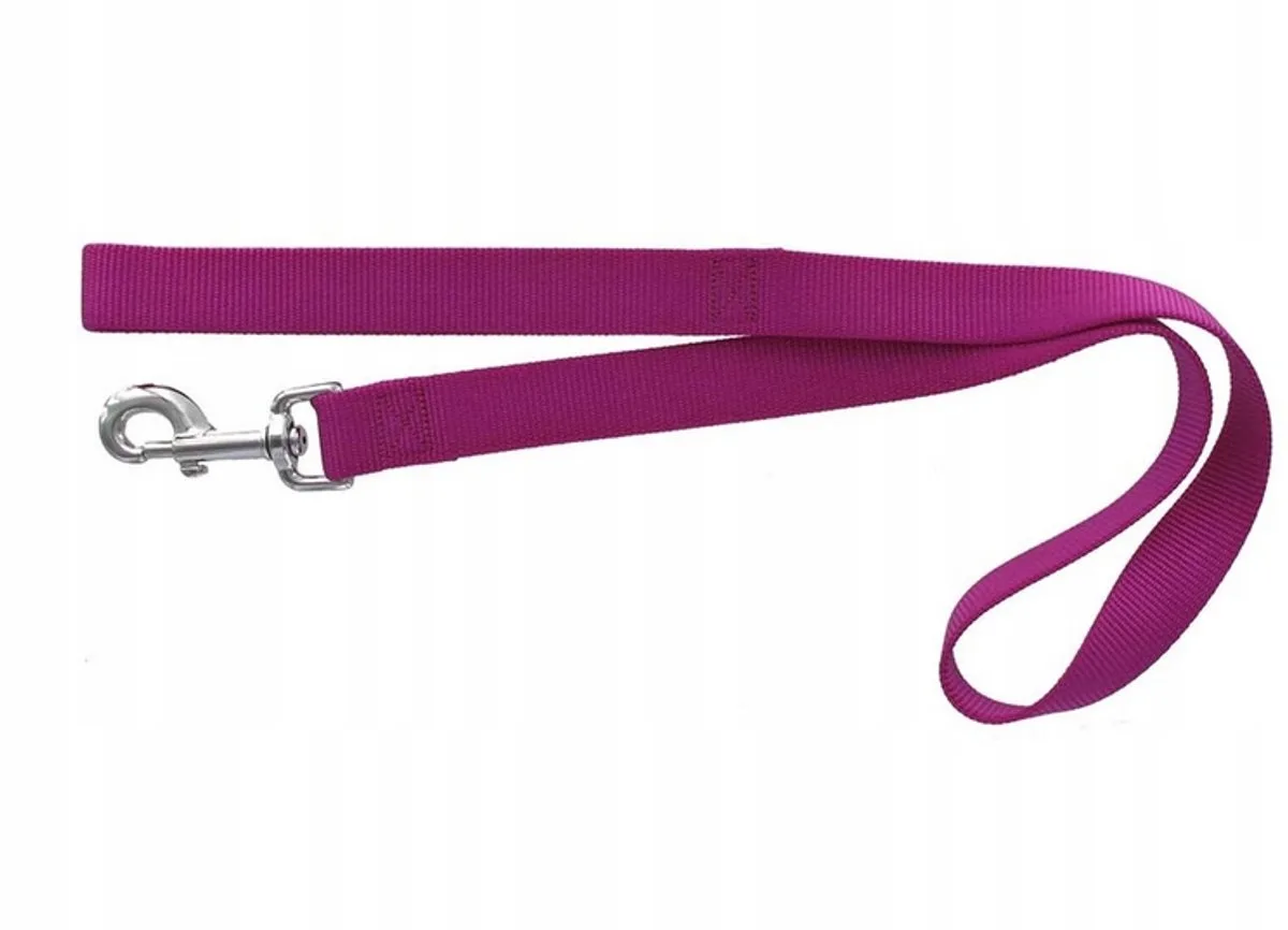 Nylon Hondenlijn XL 40mm Fuchsia - 60cm från Zolux – produktbild