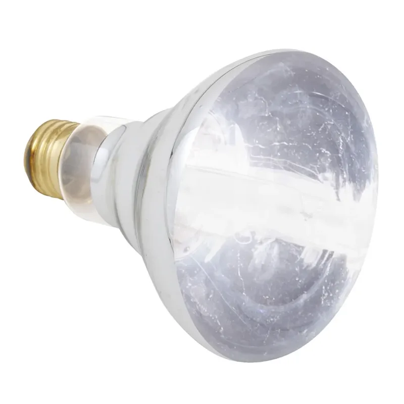 Lampe Chauffante Halogène Pour Reptiles de Zoo Med – photo produit