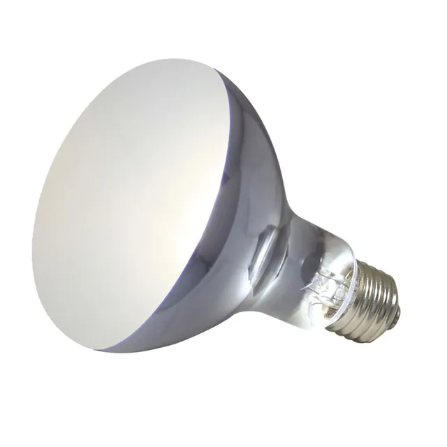 Lampe Pour Terrarium Powersun Uv