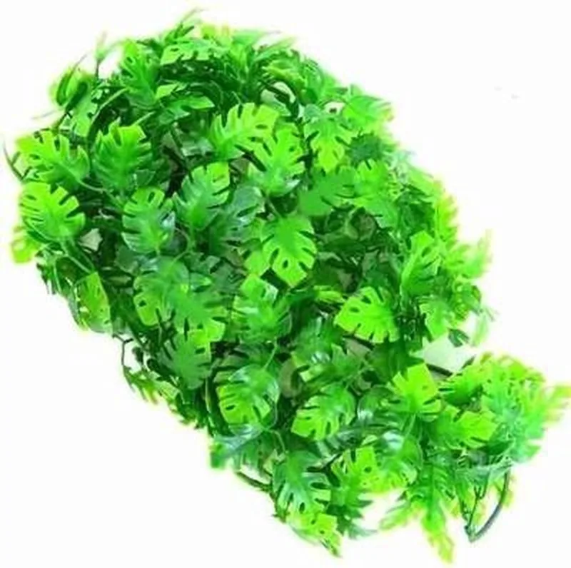 Naturalistic flora - Amazonian phyllo - Large - terrariumplant de Zoo Med en Vert – photo produit
