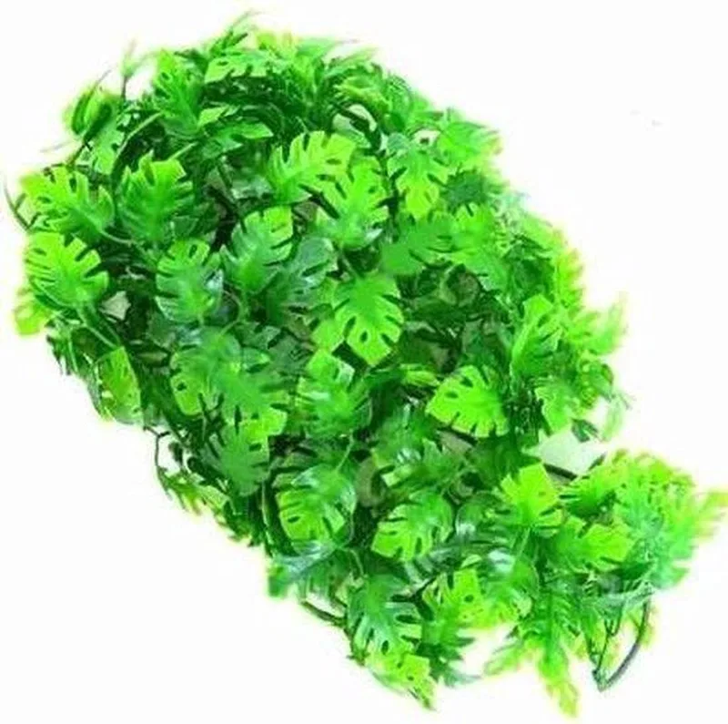 naturalistic flora - Amazonian Phyllo - Medium - terrariumplant de Zoo Med en Vert – photo produit