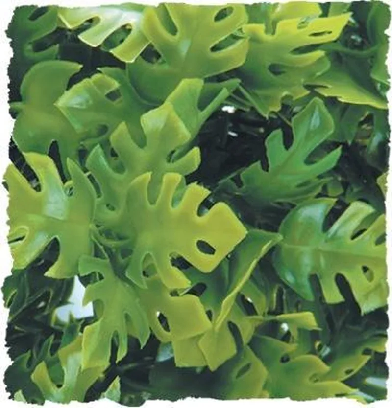 naturalistic flora - amazonian phyllo - small - terrariumplant de Zoo Med en Vert – photo produit