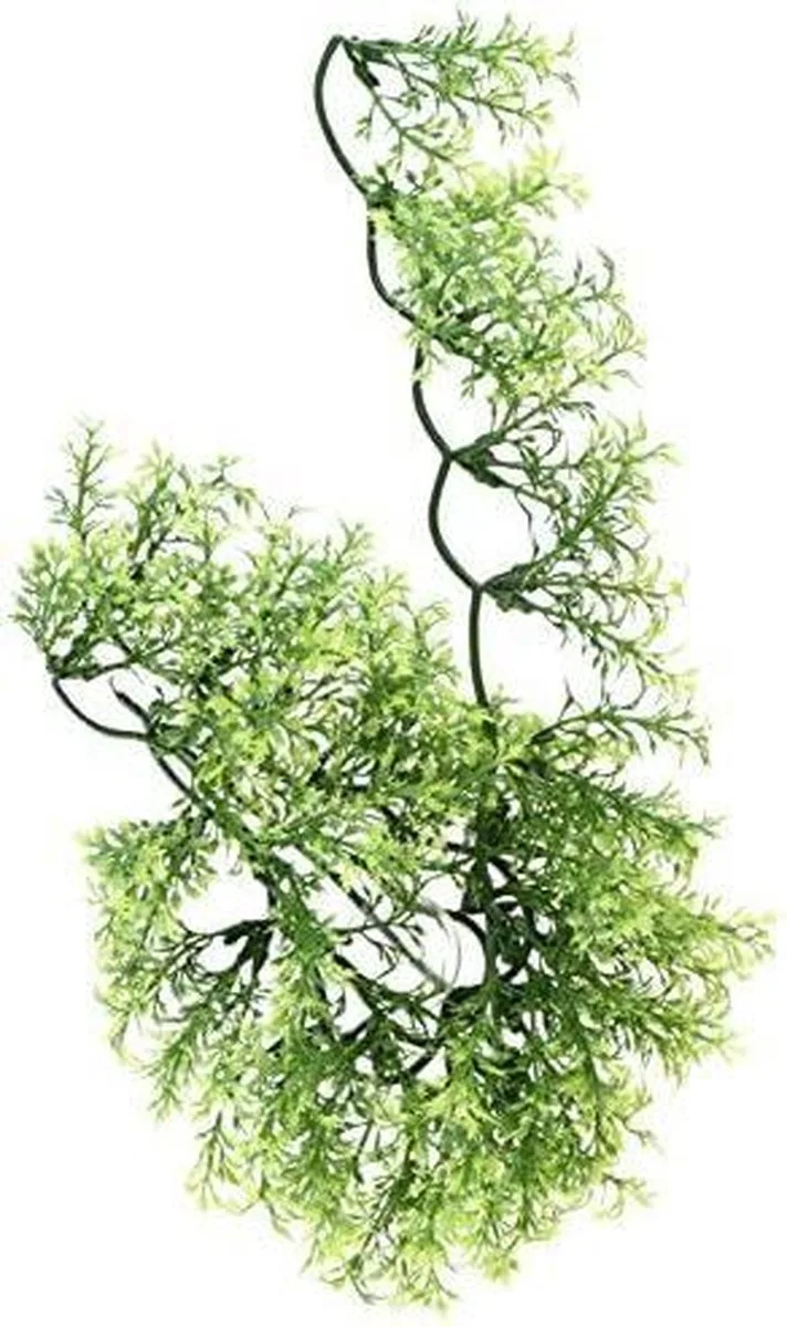 naturalistic flora - australian maple - large - terrariumplant de Zoo Med en Vert – photo produit