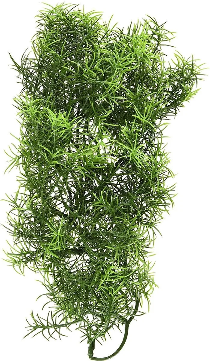 Naturalistic Flora - Cashuarina - decoratie - Medium de Zoo Med en Vert – photo produit