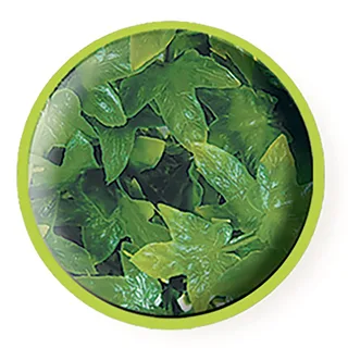 naturalistic flora - congo ivy - small - terrariumplant de Zoo Med en Vert – photo produit 2 sur 2