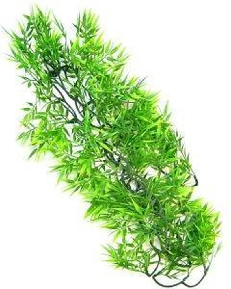 Naturalistic Flora - Madagascar Bamboo - Large - terrariumplant de Zoo Med en Vert – photo produit