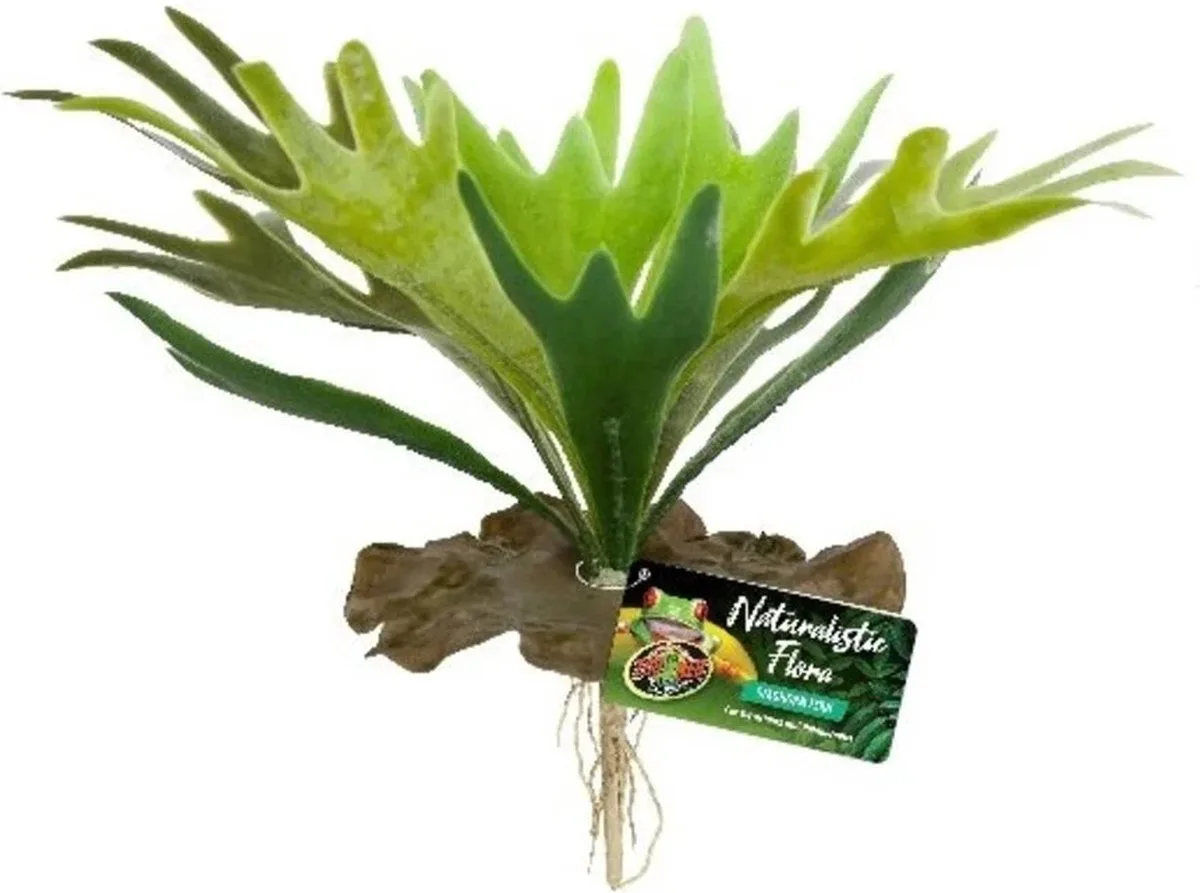 Staghorn Fern kunstplant 24 cm voor tropisch reptielenterrarium van Zoo Med in Groen – productfoto