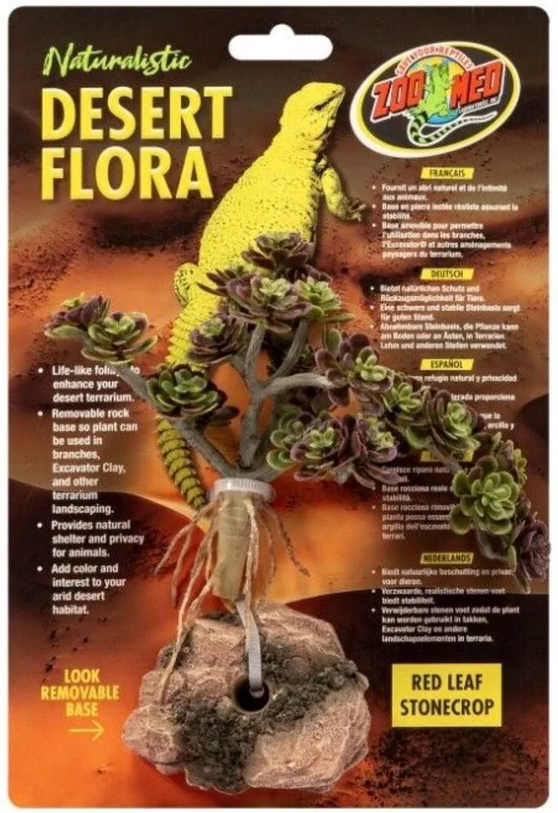 Terrariumplant - Red Leaf Stonecrop - Muurpeper de Zoo Med en Vert – photo produit