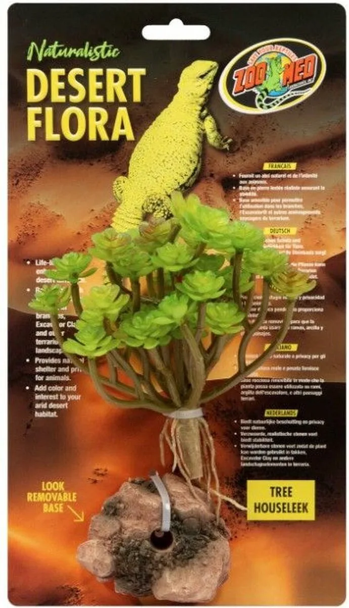 Terrariumplant - Tree Houseleek by Zoo Med in Green – product photo
