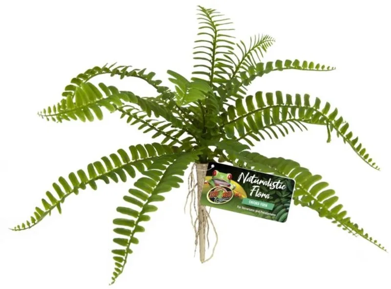 Terrariumplant - Varen - Sword Fern de Zoo Med en Vert – photo produit