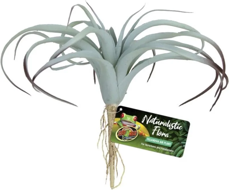 Tilandsia Air Plant terrarium kunstplant 29 cm | waterbestendig | schuilplant von Zoo Med in Grün – Produktfoto
