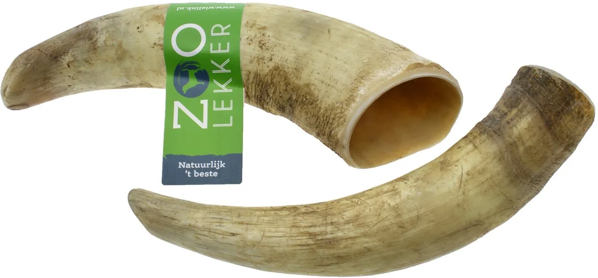 Cattle Horn Medium de Zoolekker – photo produit