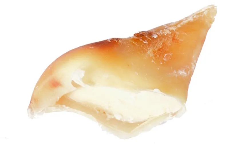 Kauwhoefjes met vet - smakelijke hondensnack van rund, langdurig kauwplezier, bulkverpakking 25 stuks von Zoolekker – Produktfoto