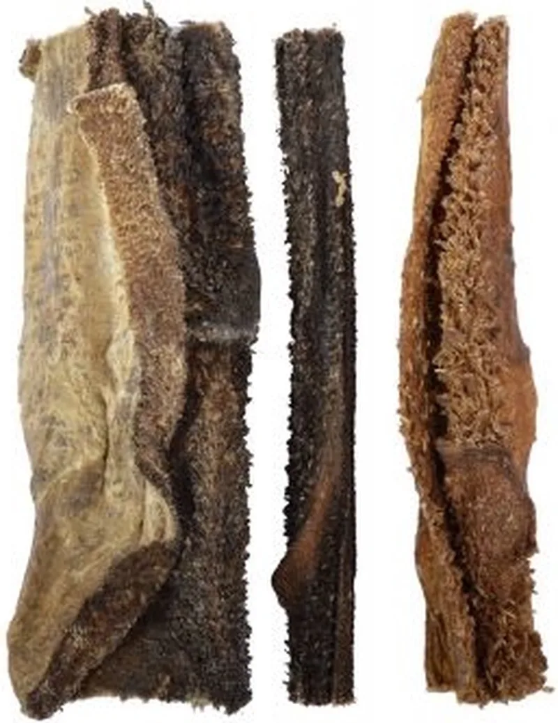 pensstaafjes pens staaf 5kg natuurlijke hondensnack von Zoolekker – Produktfoto